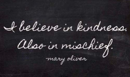 the office shenanigans 8